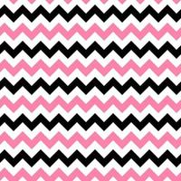seamless pattern zig zag chevron black and white vector