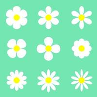 Vector illustration collection set daisy flowers spring green background,Beautiful chamomile flower isolated
