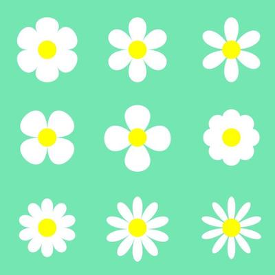 Daisy Flower Vector Art, Icons, and Graphics for Free Download