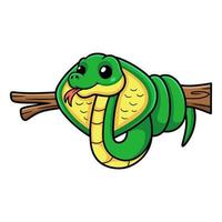 linda caricatura de serpiente cobra en la rama de un árbol vector