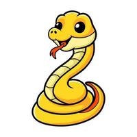 lindo, amarillo, insularis, serpiente, caricatura vector