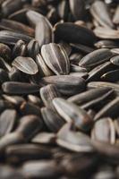 Sunflower seeds in the shell, Soft contrast. Texture, high detail. In full screen photo