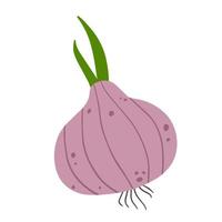 Onion in doodle style. Vegetable food and harvest. A simple drawing. Spicy Leek bulb. Flat cartoon isolated on white vector