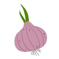 cebolla en estilo garabato. alimento vegetal y cosecha. un dibujo sencillo bulbo de puerro picante. caricatura plana aislada en blanco vector