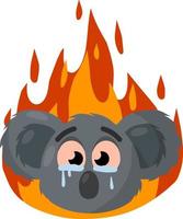 Koala is crying. Fire in Australia. Red flame. Natural disaster. Extinction of animal. Sad cute character and tears. grey beasts face. Cartoon flat illustration vector