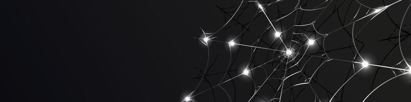 elegant monochrome spider web background banner with glitter light vector