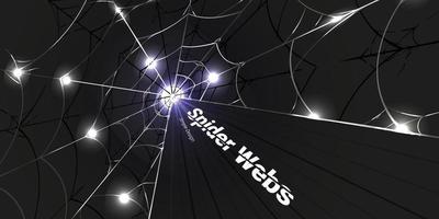 spider webs Background elegant monochrome color can be used according to your needs vector