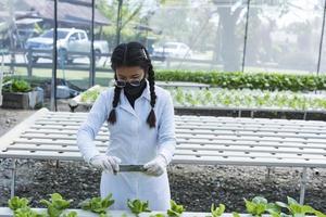 woman farmer hands working on organic hydroponics vegetable farm Owner of a hydroponics vegetable garden Quality inspection of vegetables in greenhouse planting plots small food production business id photo
