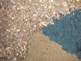 rain tree leafe soil mix with black soil and wormiculite photo
