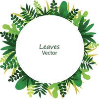 Exotic jungle tropical palm leaves vector