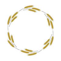 A round frame of spikelets of wheat, oats, rye, or barley. Grain plant border, agricultural frame with spikelets. Banner for beer, bread, flour packaging design vector