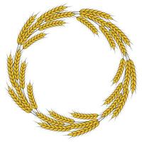 A round frame of spikelets of wheat, oats, rye, or barley. Grain plant border, agricultural frame with spikelets. Banner for beer, bread, flour packaging design vector