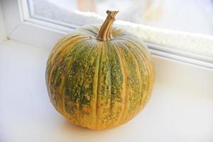 calabaza de color verde amarillo en el alféizar de la ventana. una calabaza grande sobre un fondo blanco. foto