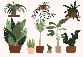 Window plants collection. Set of various potted tropical houseplants. Flat style stock vector illustration, eps 10