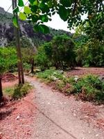 A footpath in the nature of the countryside photo