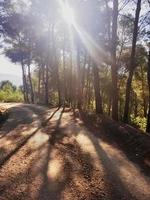 Gravel road through the mountain photo