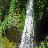 Natural forest waterfall photo