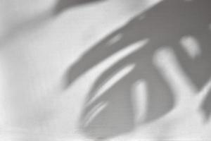 Morning shadows in the room of monstera leaf on a white wall photo