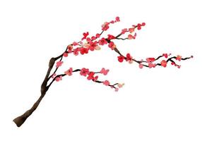 acuarela de ramas de cerezos en flor. rama de flor de sakura dibujada a mano aislada en la ilustración de vector de fondo blanco