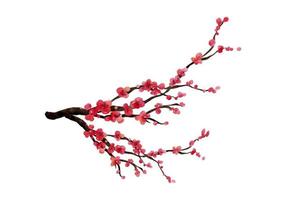acuarela de ramas de cerezos en flor. rama de flor de sakura dibujada a mano aislada en la ilustración de vector de fondo blanco