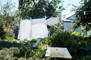 washed clothes on clotheslines are dried in the village on a sunny day in summer photo