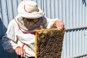 Winged bee slowly flies to beekeeper collect nectar on private apiary photo