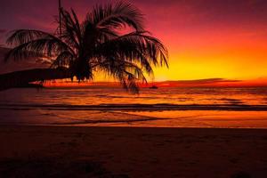 Silhouette of beautiful sunset on the sea beach with palm tree for travel in holiday relax time, photo