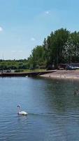 Best View of Lake at England, Vertical and Portrait Style Video Clip