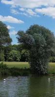 Best View of Lake at England, Vertical and Portrait Style Video Clip