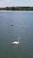 bester blick auf den see in england, vertikaler und hochformatiger videoclip video