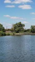 Best View of Lake at England, Vertical and Portrait Style Video Clip