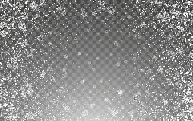 Snowfall and falling snowflakes on dark transparent background. White snowflakes and Christmas snow. Vector illustration