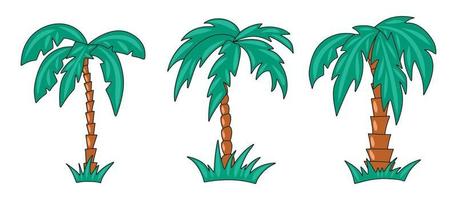 Vector graphics of different shapes of palm tree colored with a stroke outline on a white background