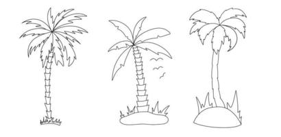 Vector graphic set of different outline black line silhouette of palm tree