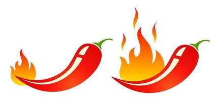 Mild and hot chilli pepper vector