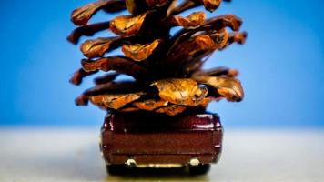 Minahasa, Indonesia  December 2022, the toy car transporting pinecones photo