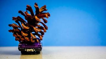 Minahasa, Indonesia  December 2022, the toy car transporting pinecones photo