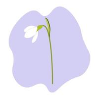 First snowdrops. Spring. vector illustration.