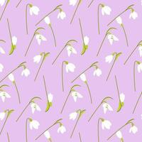 Snowdrops. Spring flower.  Seamless pattern. Vector liiustration