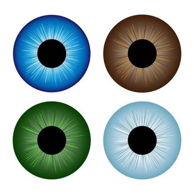 Human eyeballs iris pupils set - assorted colors.