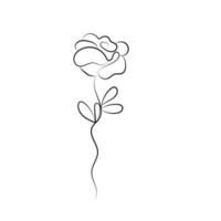 rose flower line art doodle with leaves element vector