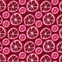 pattern of pieces of pomegranate and grapefruit vector