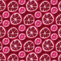 pattern of pieces of pomegranate and grapefruit vector