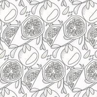 Pomegranate pattern. Whole and pieces of  garnet fruit with seeds vector