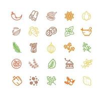 conjunto de iconos de línea fina de color de signo de especias y hierbas. vector