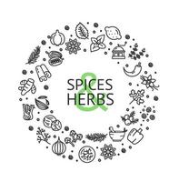 Spices Round Design Template Contour Lines Icon Frame Concept. Vector