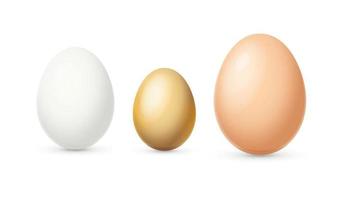 Realistic Detailed 3d Different Color and Sizes Eggs Set. Vector