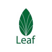 green leaf logo vector