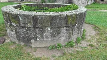 Old well is entwined with wild ivy. video