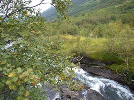 beautifull fjords of norway photo